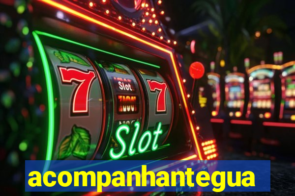 acompanhanteguanambi
