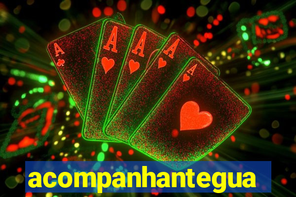 acompanhanteguanambi