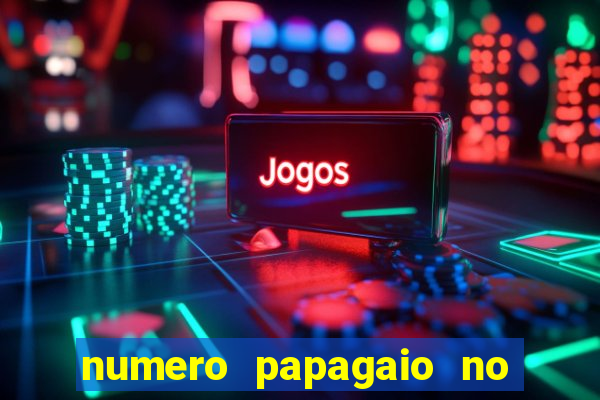 numero papagaio no jogo do bicho