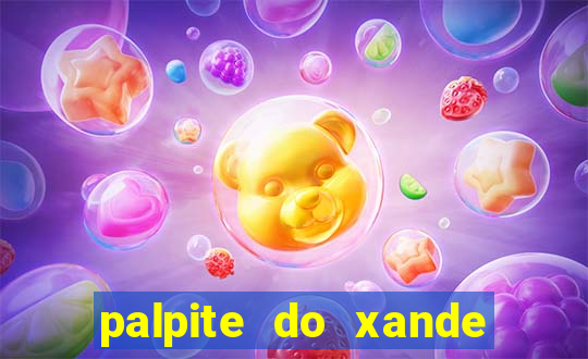 palpite do xande para hoje