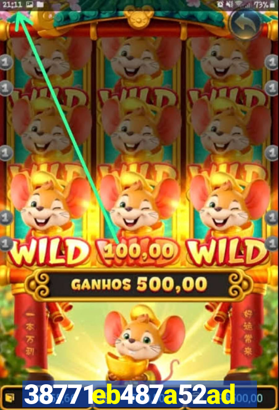 fyobet plataforma