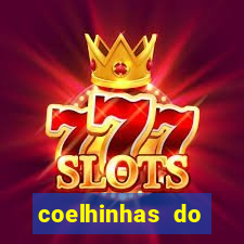 coelhinhas do brasil recife