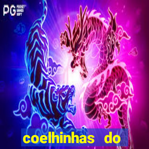 coelhinhas do brasil recife