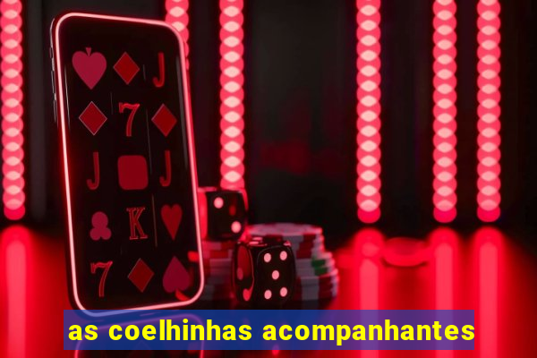 as coelhinhas acompanhantes