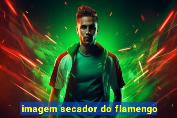 imagem secador do flamengo