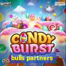 bulls partners