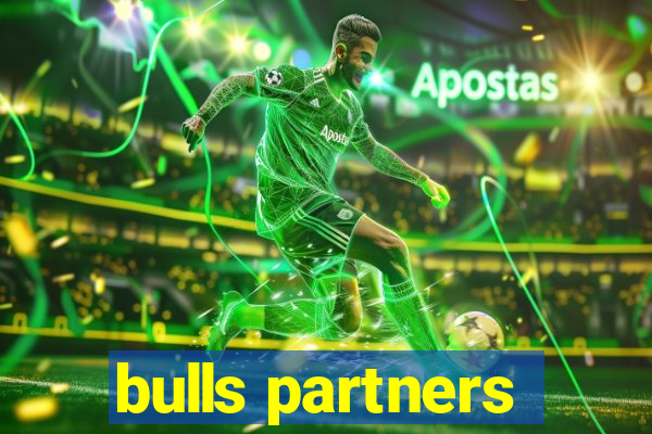 bulls partners