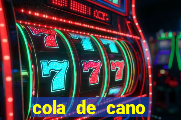 cola de cano quanto tempo para secar
