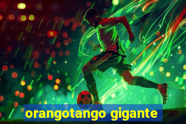 orangotango gigante