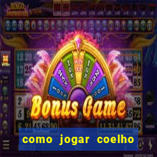 como jogar coelho da fortuna