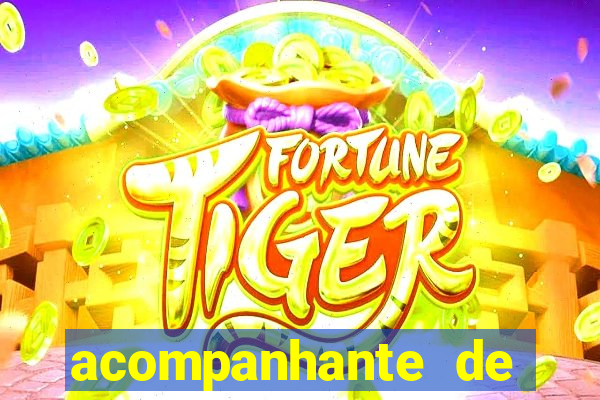 acompanhante de luxo agenda 31