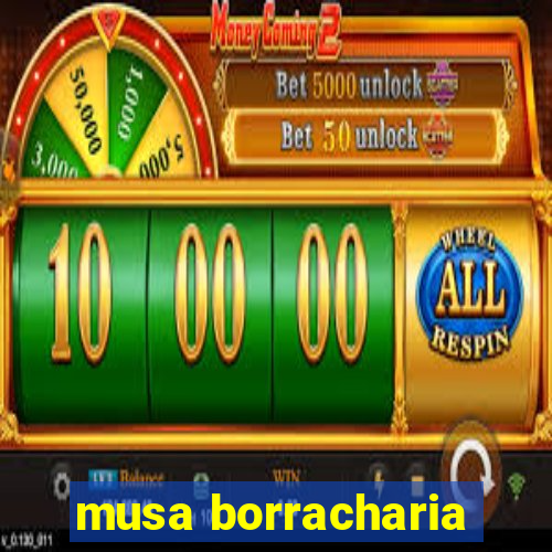 musa borracharia