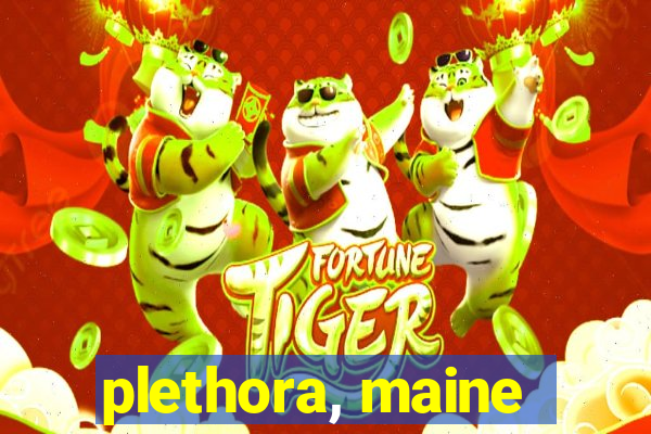 plethora, maine