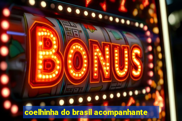 coelhinha do brasil acompanhante