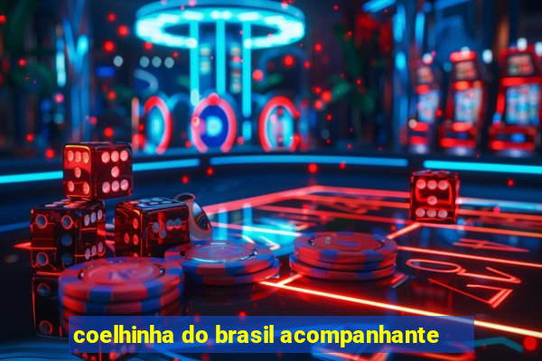 coelhinha do brasil acompanhante