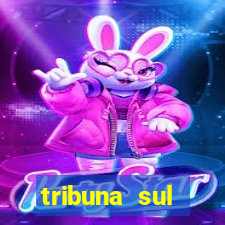 tribuna sul fluminense volta redonda