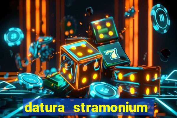 datura stramonium medicinal uses