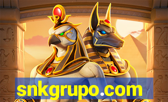 snkgrupo.com