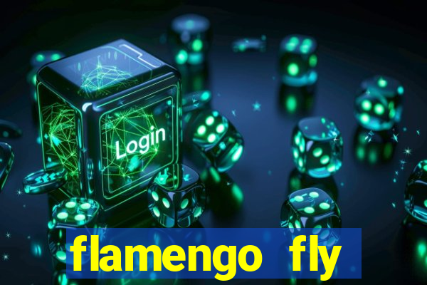 flamengo fly emirates ultimas noticias