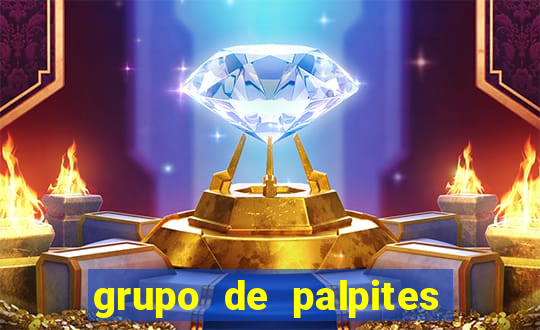grupo de palpites de futebol telegram