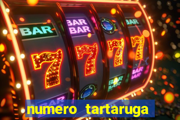 numero tartaruga jogo do bicho