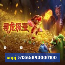 cnpj 51365893000100