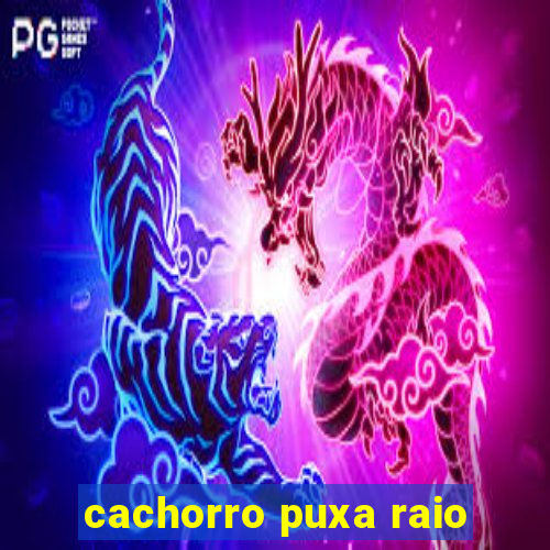 cachorro puxa raio