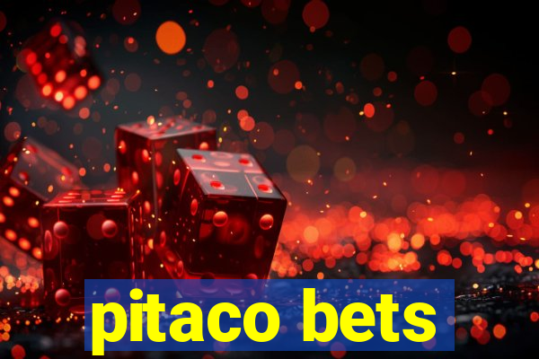 pitaco bets