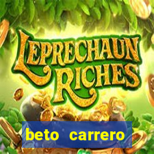 beto carrero cidades proximas
