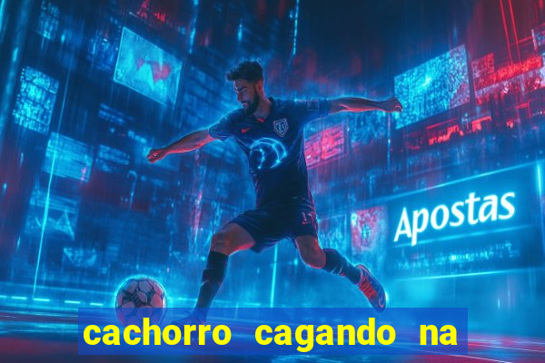 cachorro cagando na camisa do corinthians