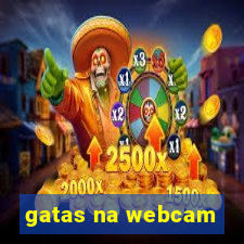 gatas na webcam