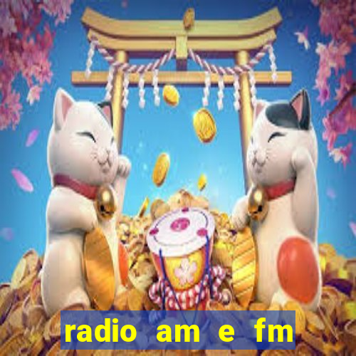 radio am e fm casas bahia