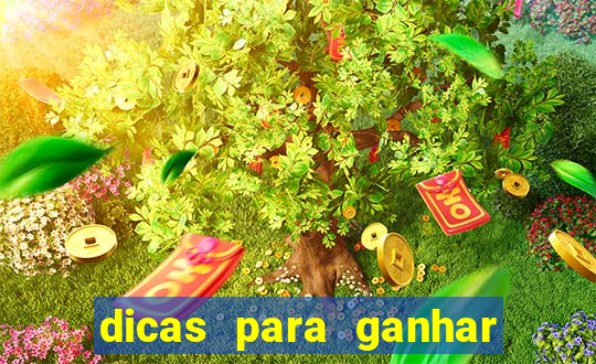 dicas para ganhar no fortune rabbit
