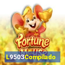 L9503Compilado